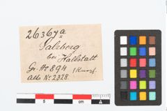 Etikett zu Bronzeriemenbesatzknopf (NHMW-PRAE-026367a)